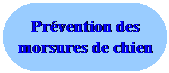 Rectangle � coins arrondis: Pr�vention des morsures de chien