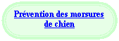 Rounded Rectangle: Pr�vention des morsures de chien


