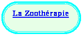 Rectangle � coins arrondis: La Zooth�rapie