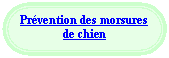 Rounded Rectangle: Pr�vention des morsures de chien


